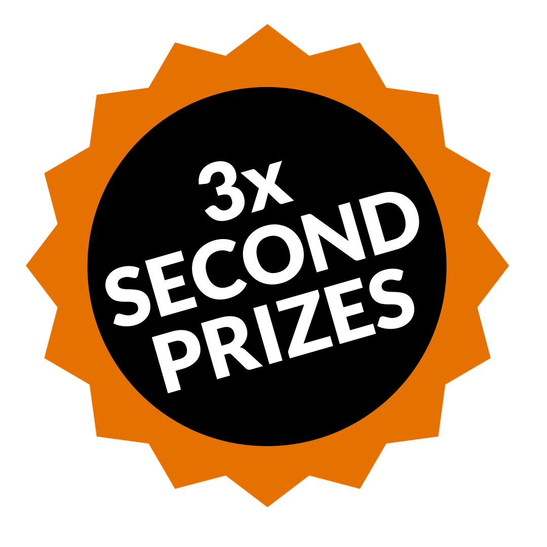 Three second prize winners